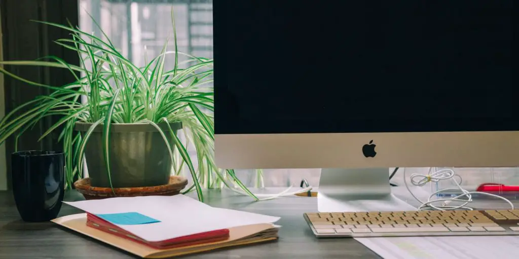 do desk lamps help plants