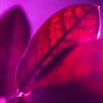 air quality improvement benefits