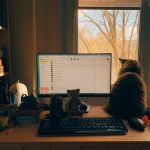 comfort enhancing trackball accessories