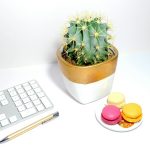 gardening improves workplace wellness