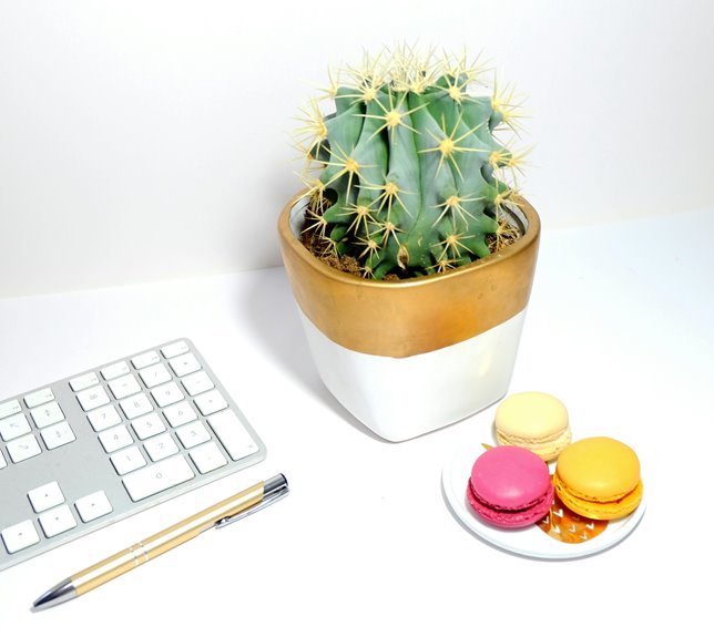 gardening improves workplace wellness