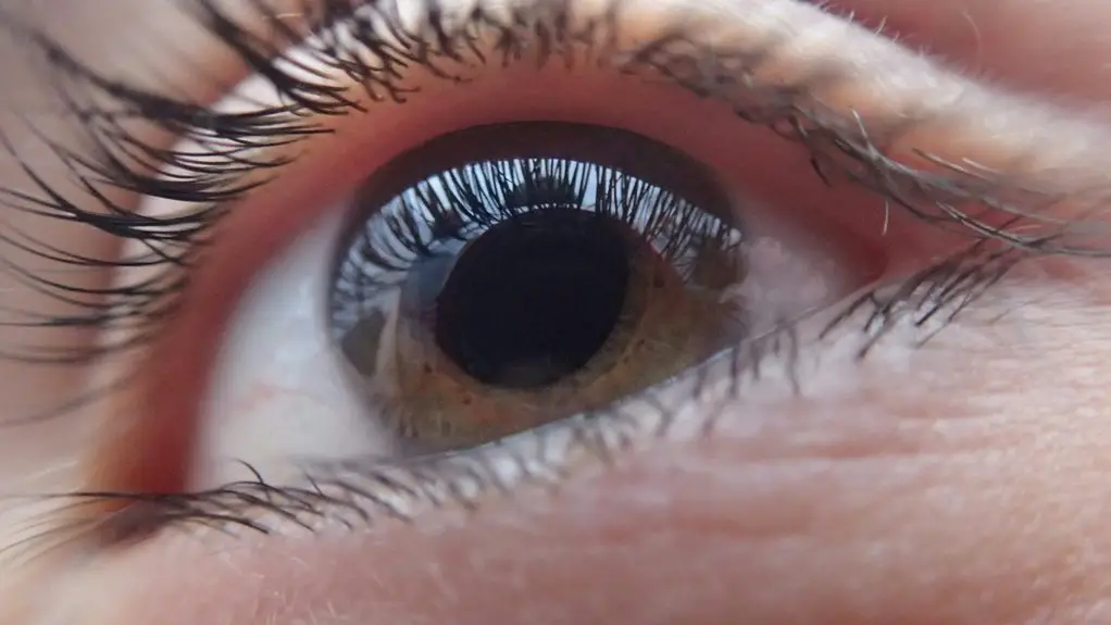 improving zoom eye contact