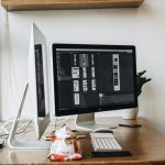 mini plants enhance desk energy