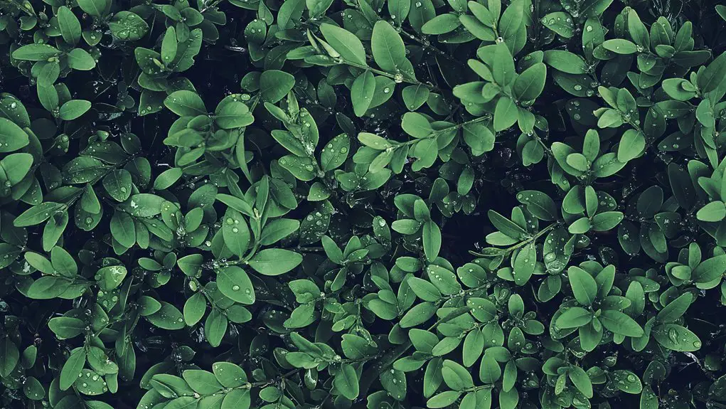 natural color through plants