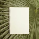 sustainable biodegradable writing solutions