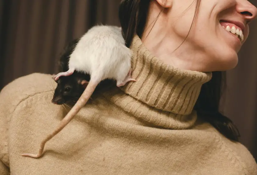 trackball mice alleviate discomfort
