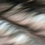 webcams with background filtering