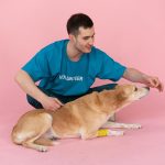 dog treat recipe retail
