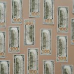 franchise income and profitability