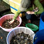 humane labor reform proposal