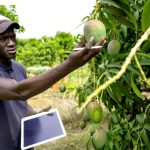 labor market technology transformation
