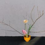 nature connected design enhances wellbeing