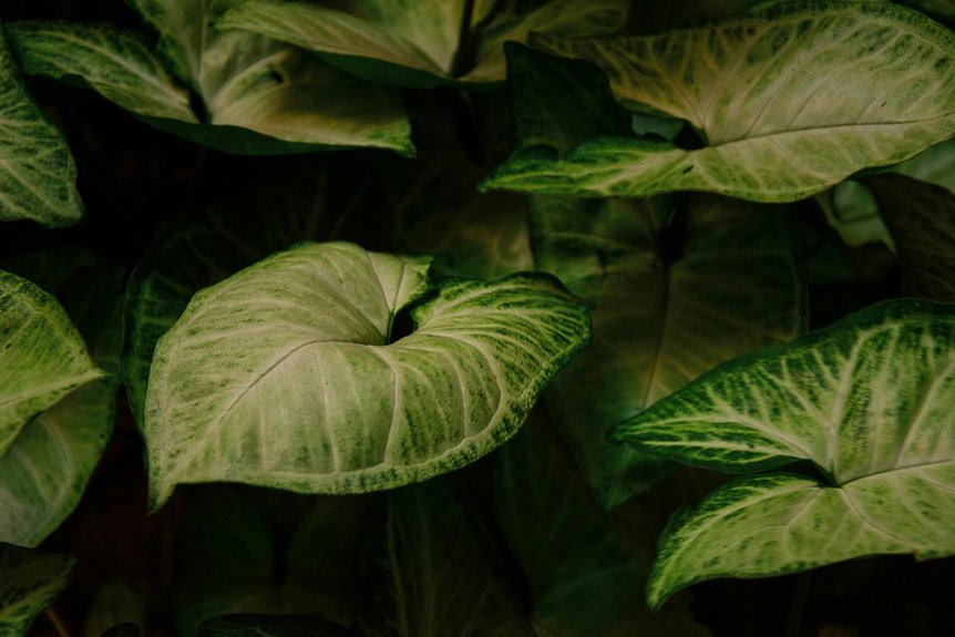 nature inspired indoor experiences