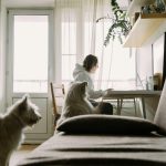 pets enhance work efficiency
