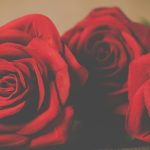 poetry writing paid opportunities