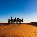 remote dollar paid jobs mexico